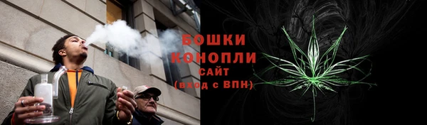 гашик Ладушкин