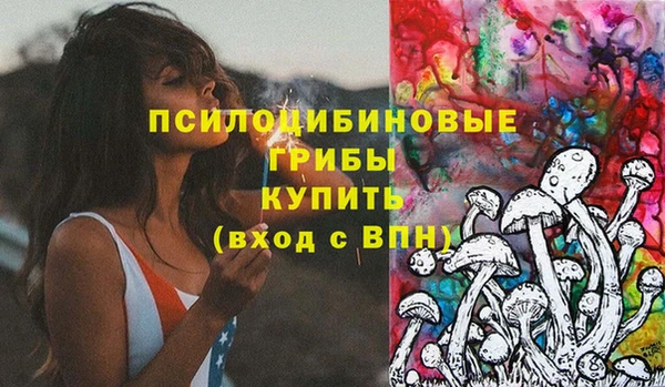 гашик Ладушкин