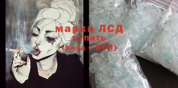 гашик Ладушкин