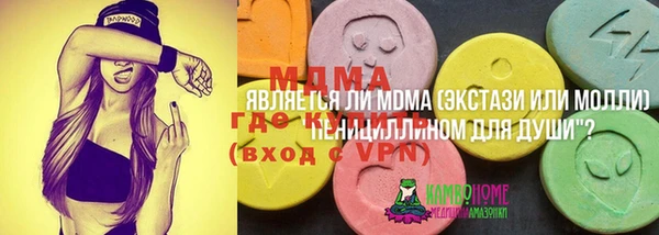 гашик Ладушкин