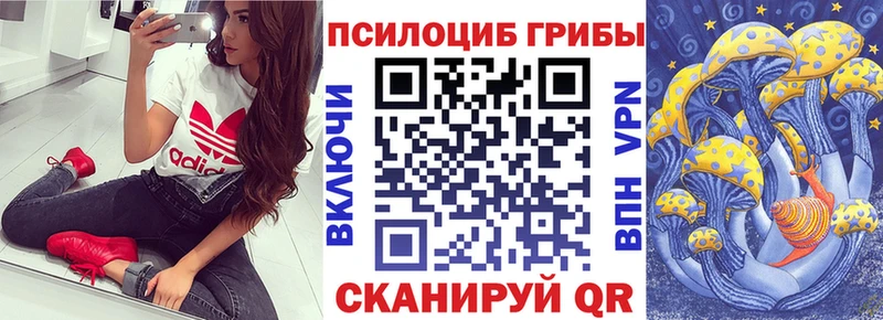 Псилоцибиновые грибы мицелий  где можно купить наркотик  мега сайт  Братск 