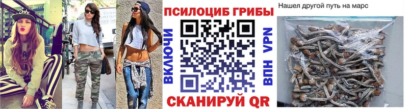 Псилоцибиновые грибы ЛСД Братск
